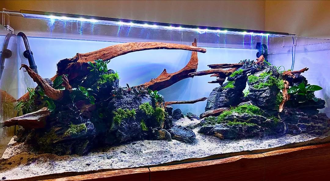 Akvárko vyrobené na zakázku 145x50x50, musím říct že naprosto super rozměr👍🐟,řeknete jestli by